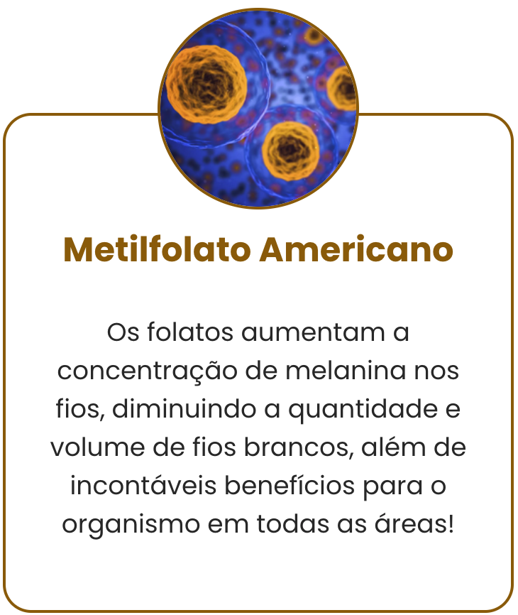 Demonstração de atividades na plataforma